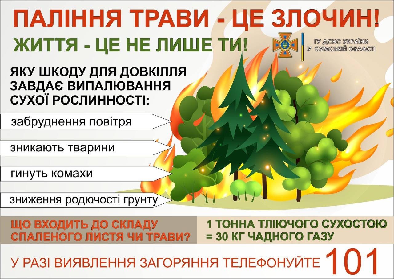 IMG 062953bb9c9c883f4d35cc17db5bf179 V
